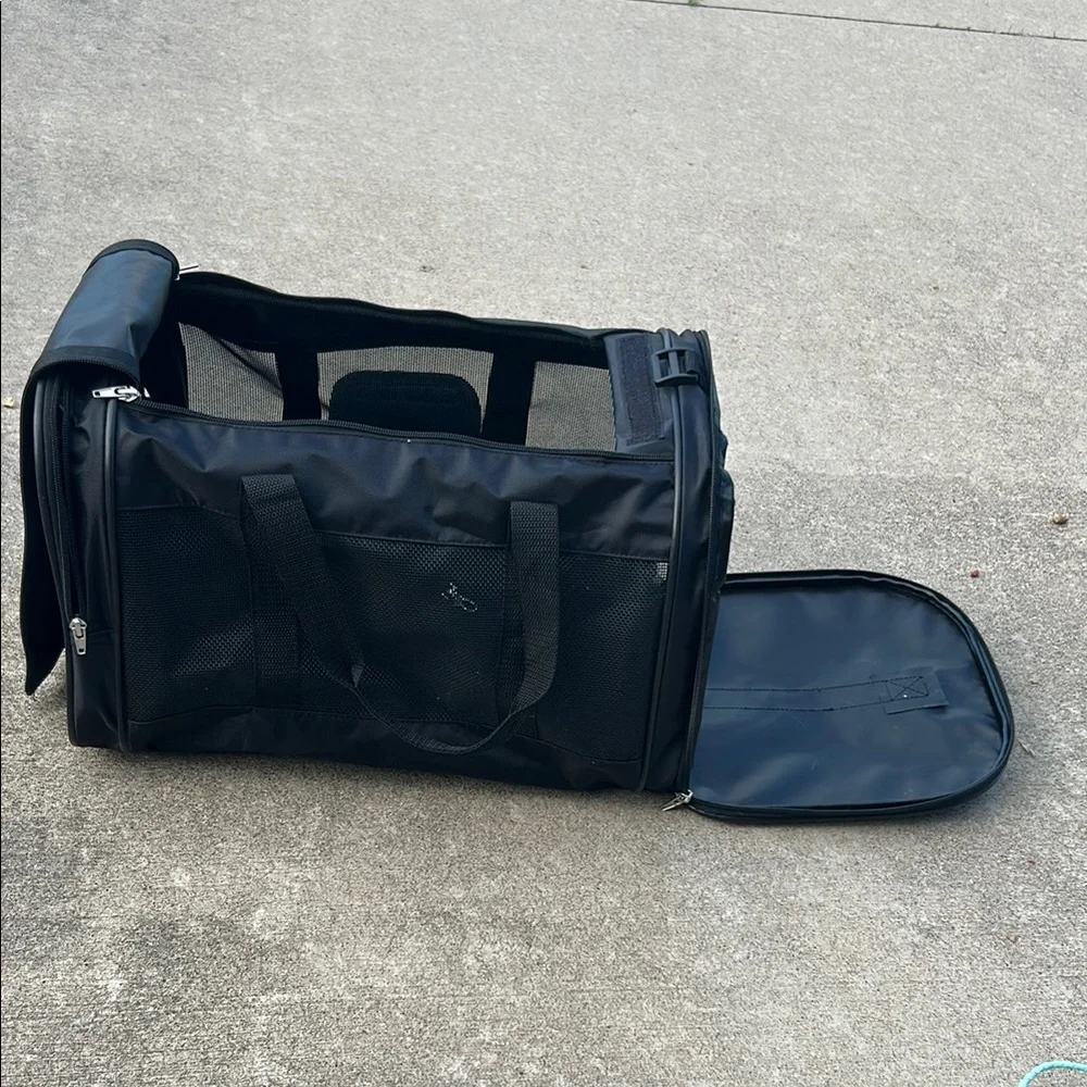 Collapsible cat carrier